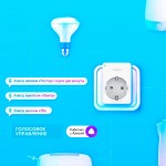 TP-Link Tapo P100 (RU) Умная мини Wi-Fi розетка